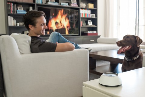 man sits on couch in a media room. His dog and a Josh voice assistant are next to him